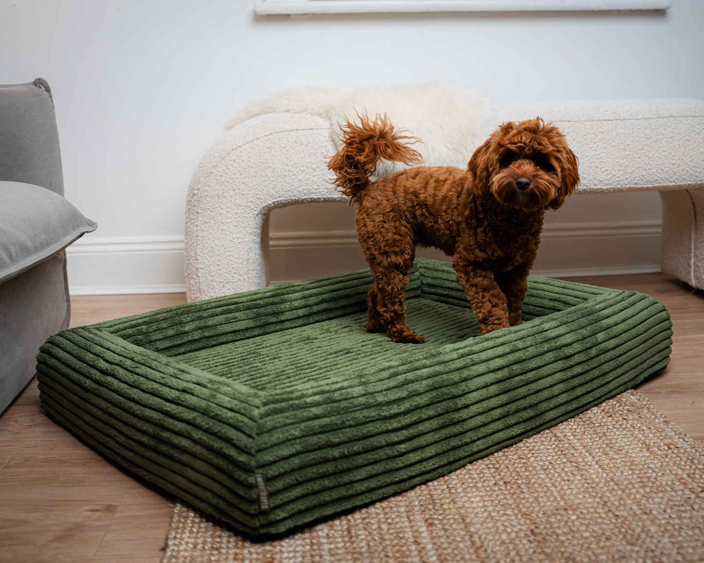 Premium Memory Foam Dog Bed - Olive