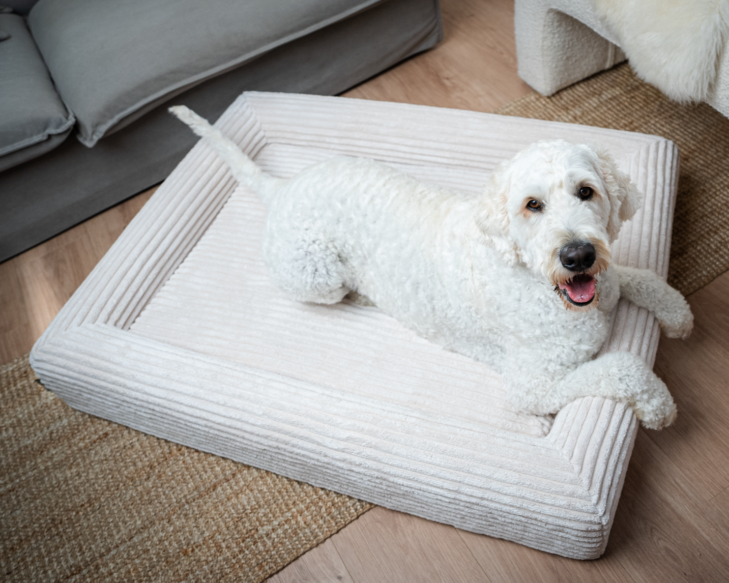 Premium Memory Foam Dog Bed - Beige