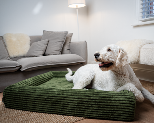 Premium Memory Foam Dog Bed - Olive