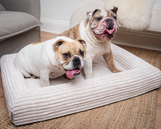Premium Memory Foam Dog Bed - Beige